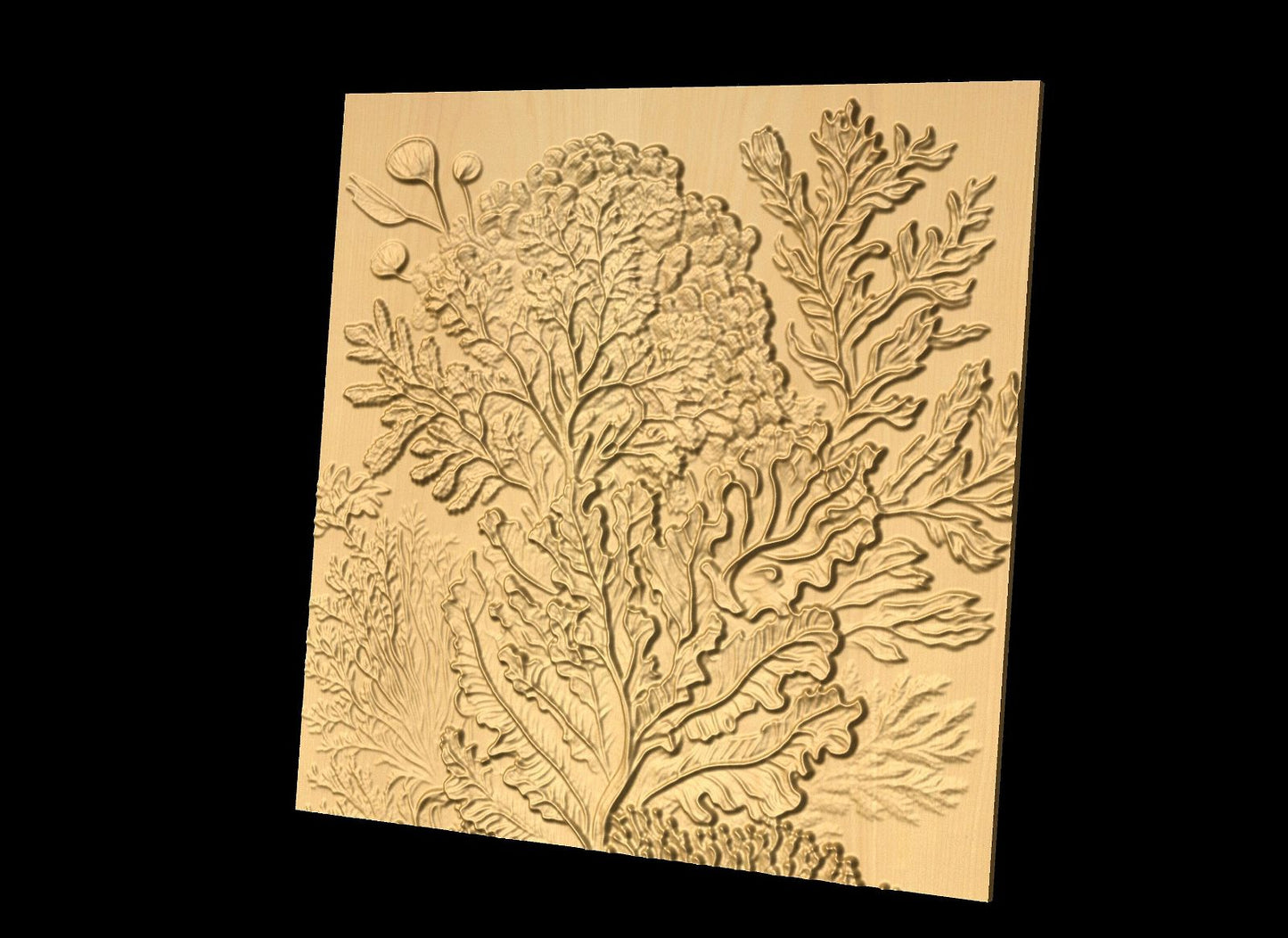 Bas-relief "Corals 5" 3D file for CNC - Bonitum CNC Model Studio