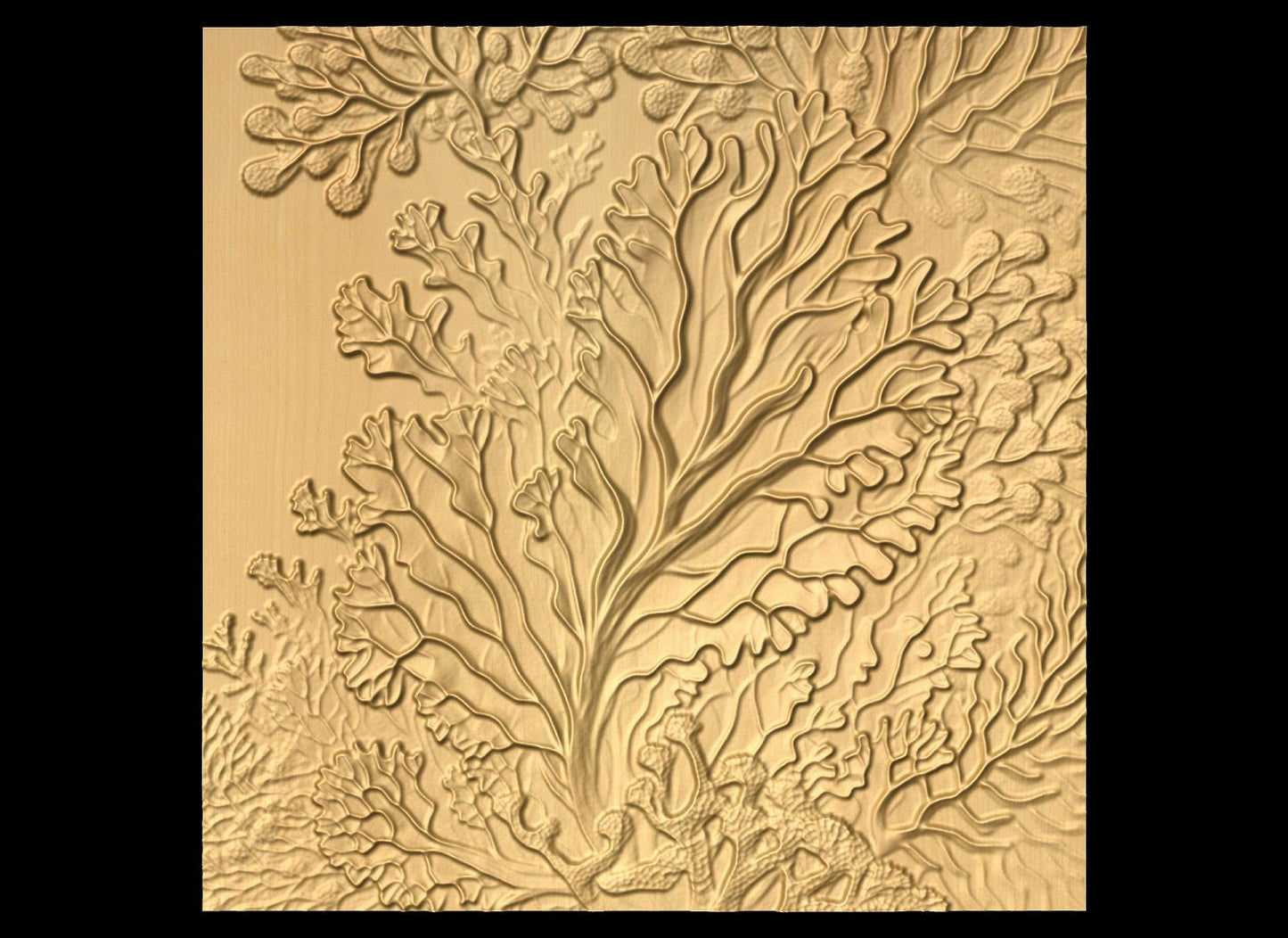 Bas-relief "Corals 1" 3D file for CNC - Bonitum CNC Model Studio