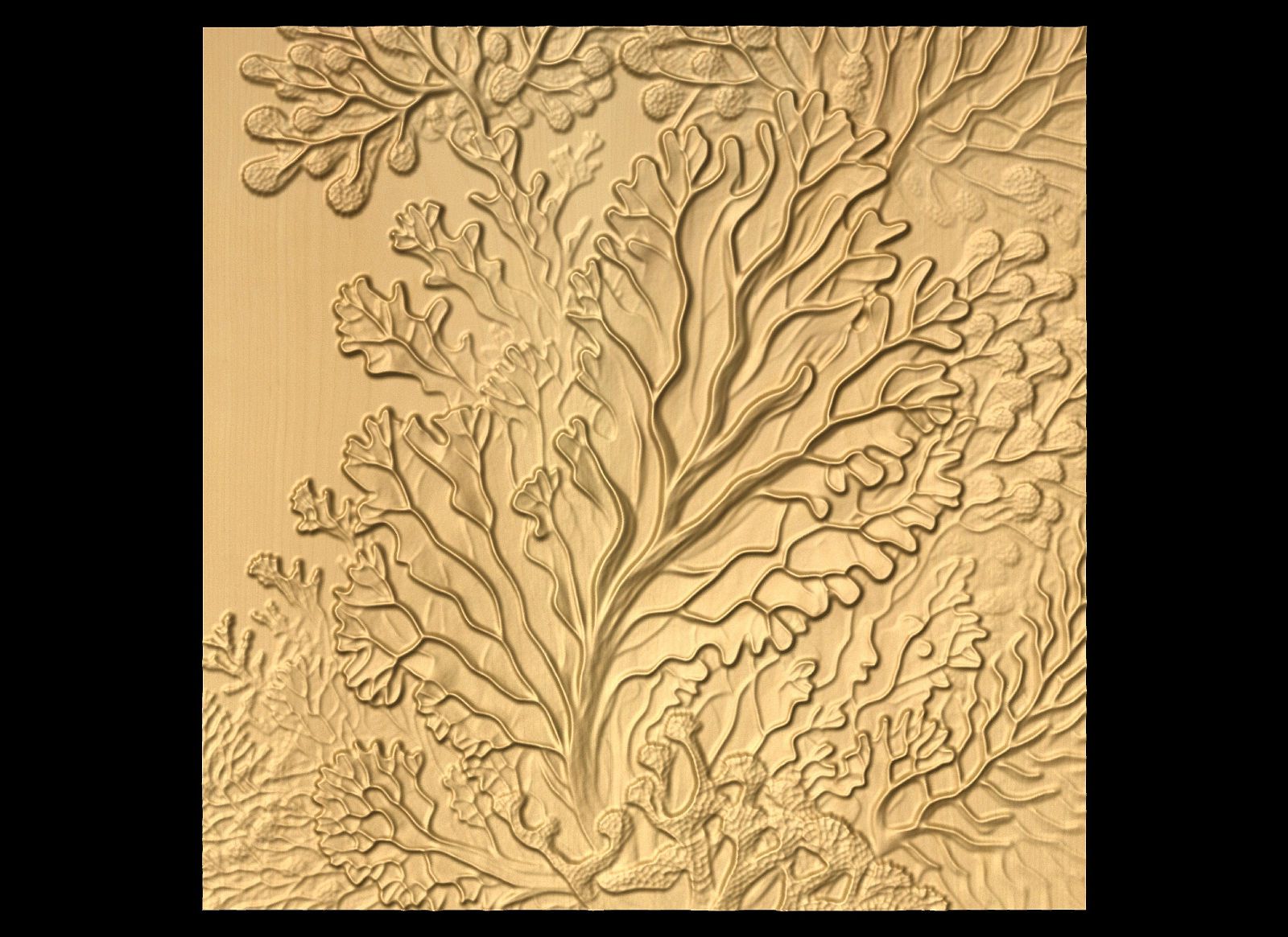 Bas-relief "Corals 1" 3D file for CNC - Bonitum CNC Model Studio