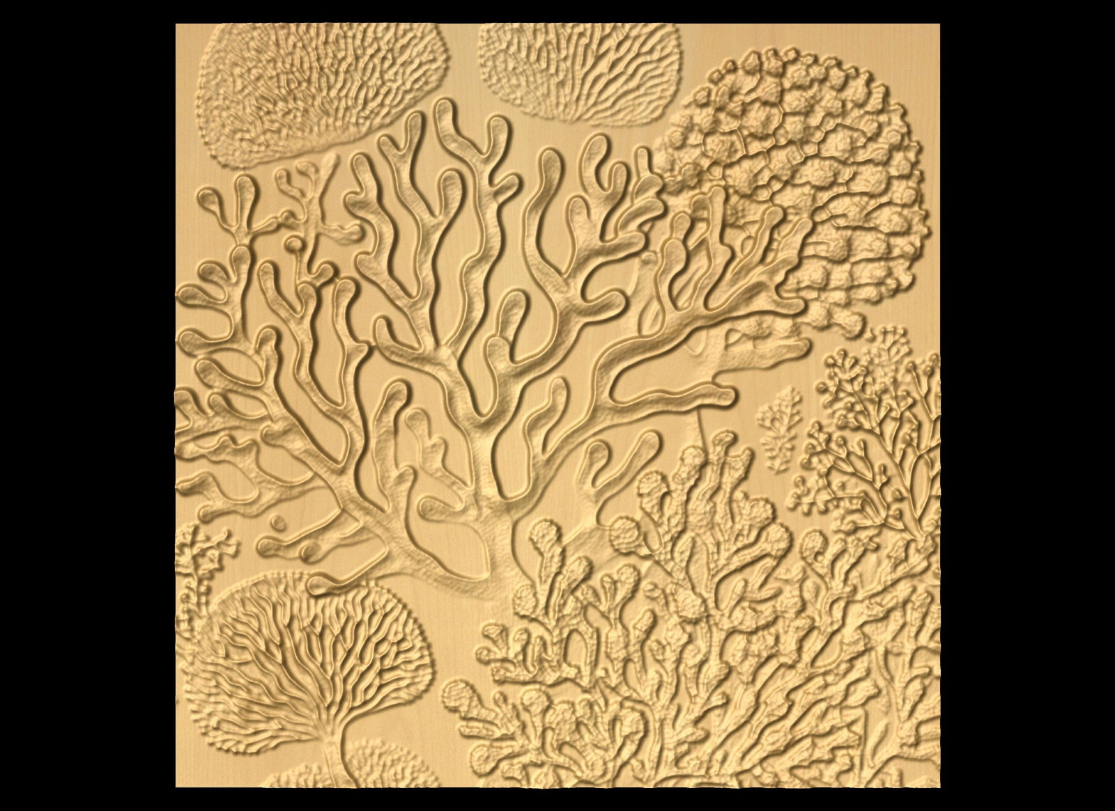 Bas-relief "Corals 2" 3D file for CNC - Bonitum CNC Model Studio