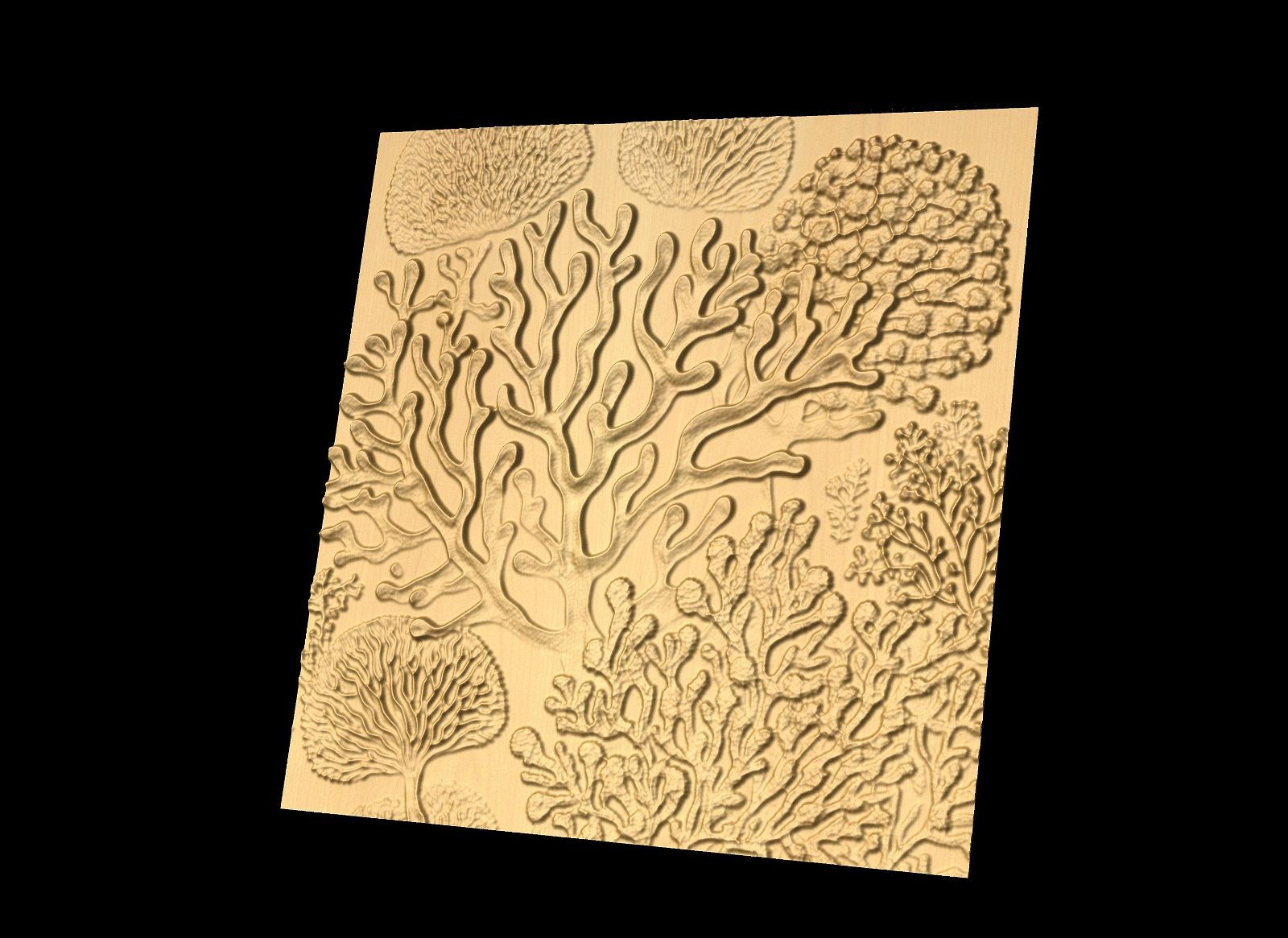 Bas-relief "Corals 2" 3D file for CNC - Bonitum CNC Model Studio