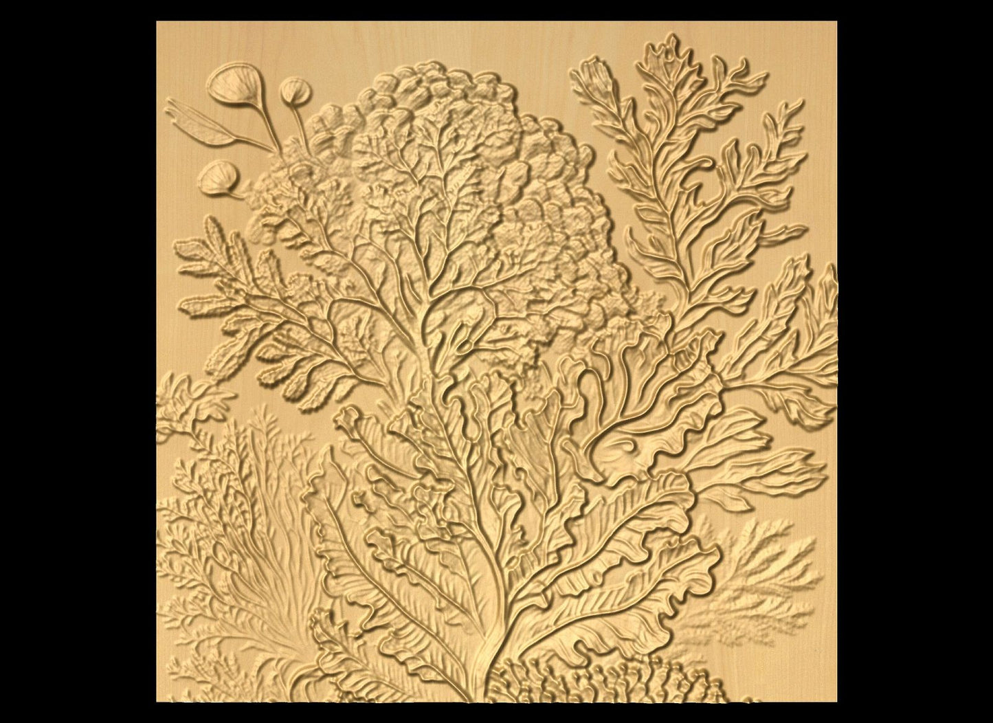 Bas-relief "Corals 5" 3D file for CNC - Bonitum CNC Model Studio