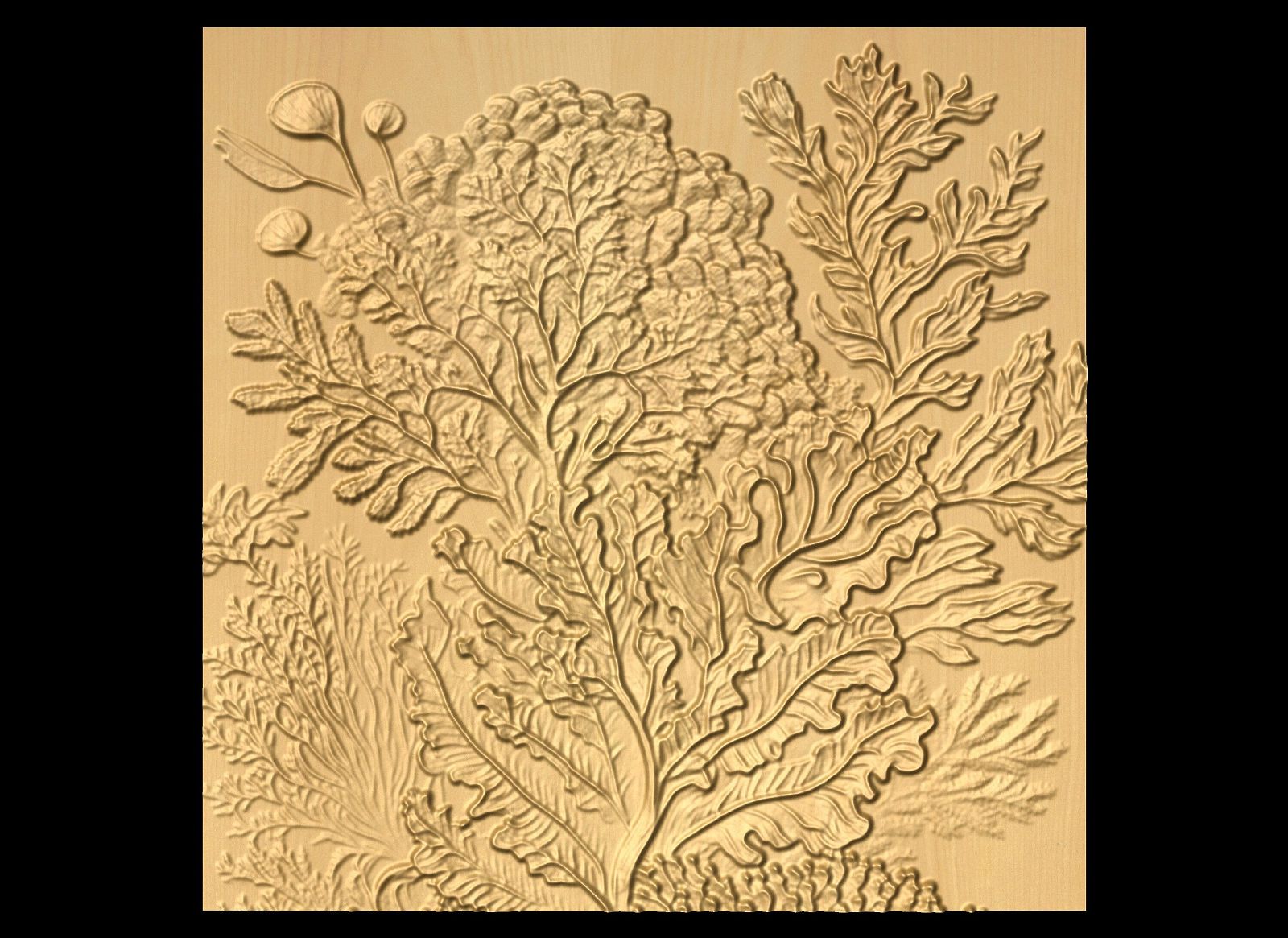 Bas-relief "Corals 5" 3D file for CNC - Bonitum CNC Model Studio