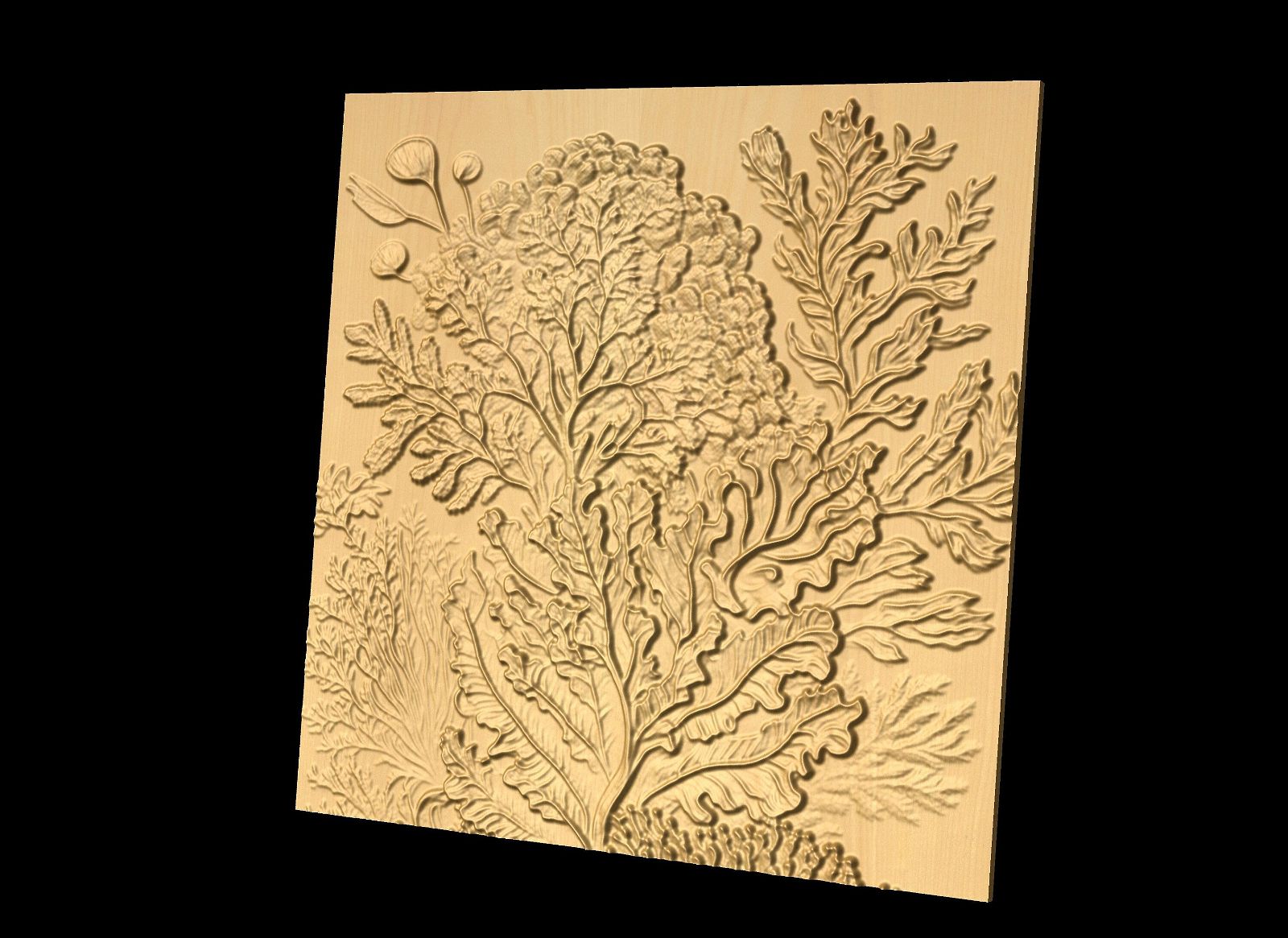 Bas-relief "Corals 5" 3D file for CNC - Bonitum CNC Model Studio