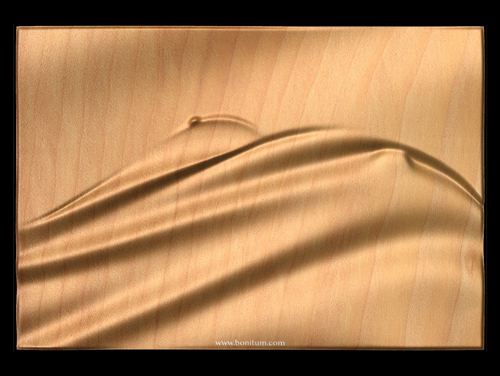 Feminine Dunes 0018 Decorative abstract 3D relief sculpture model for CNC machining - Bonitum CNC Model Studio