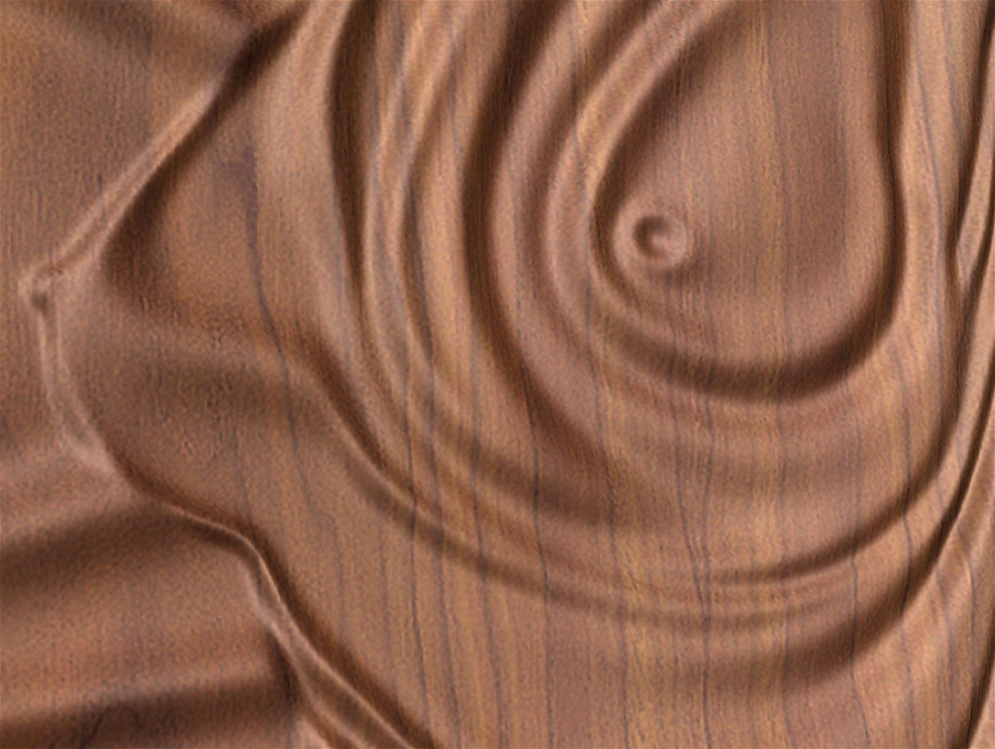 Feminine Dunes 2018 Decorative abstract 3D relief sculpture model for CNC machining - Bonitum CNC Model Studio